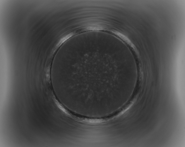 X0000085020889200703121540