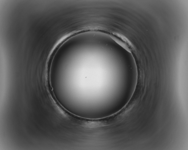 X0000085020894200703121540