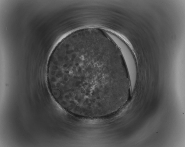 X0000085020895200703121540