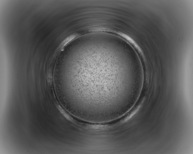 X0000085020897200703121540