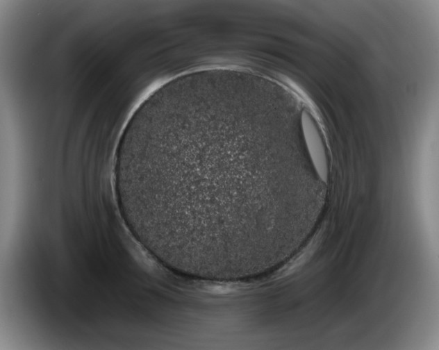 X0000085020899200703121540