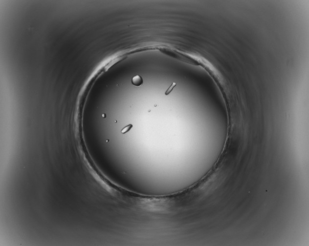 X0000085020902200703121540
