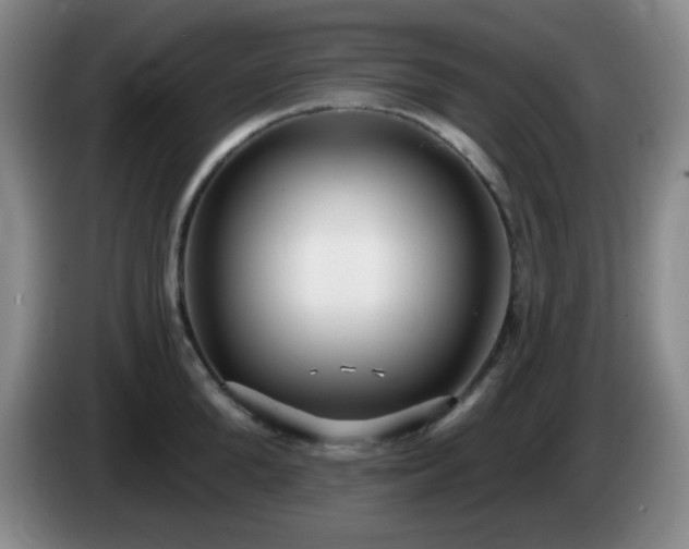 X0000085020904200703121540