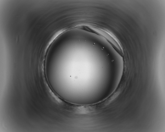 X0000085020906200703121540