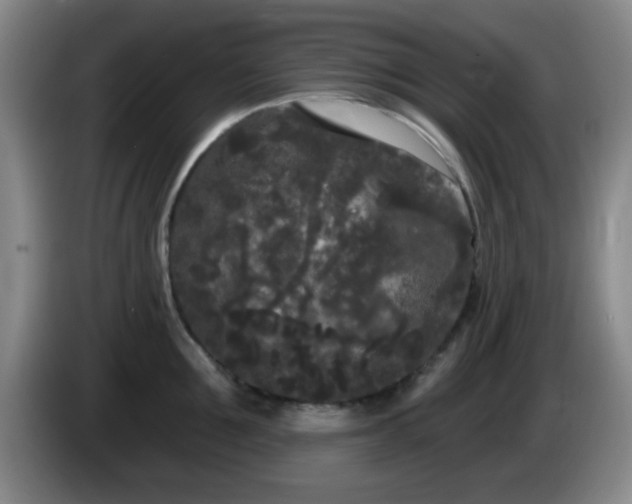 X0000085020907200703121540