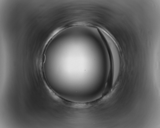 X0000085020909200703121540