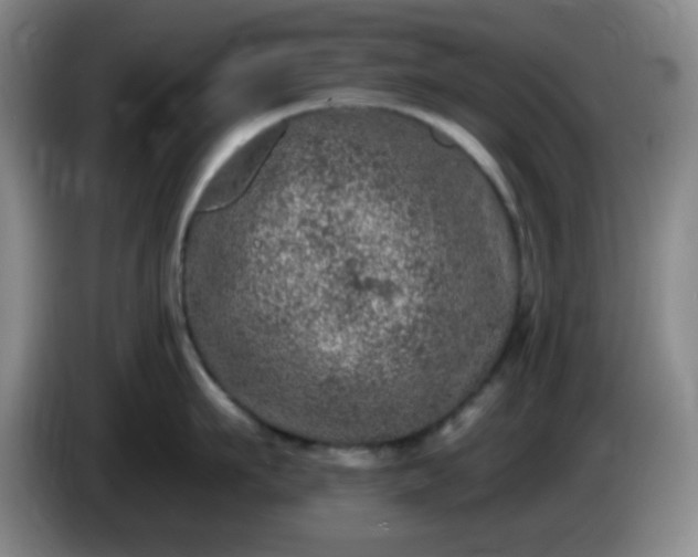 X0000085020911200703121540