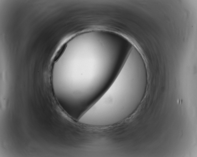 X0000085020912200703121540
