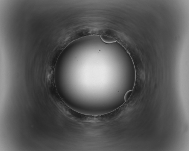 X0000085020914200703121539