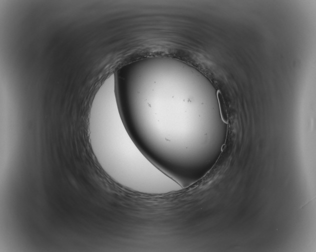 X0000085020916200703121539