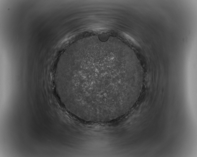 X0000085020917200703121539