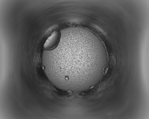 X0000085020918200703121539