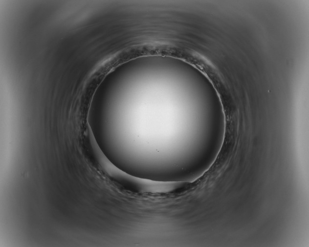 X0000085020919200703121539
