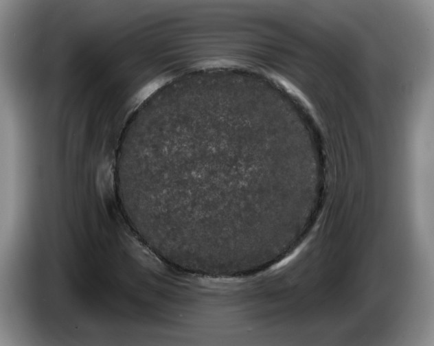 X0000085020921200703121539