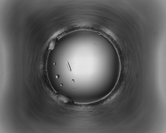 X0000085020922200703121539