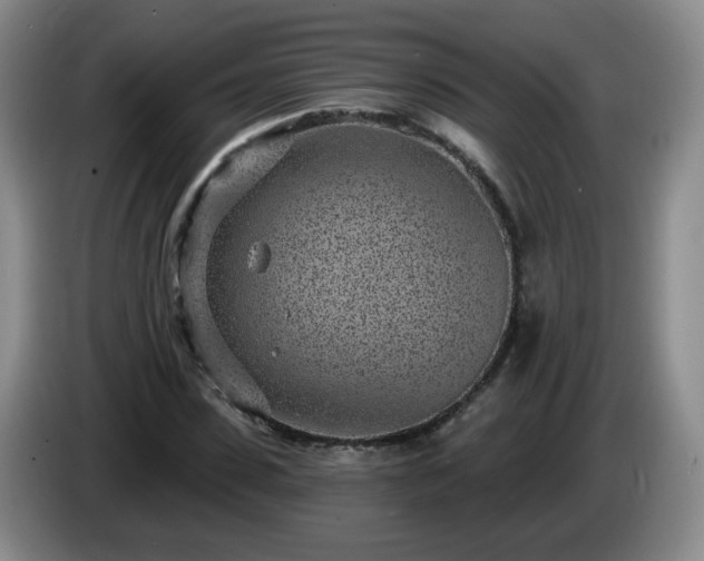 X0000085020923200703121539