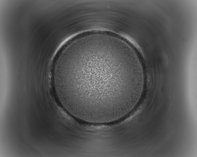 X0000085020926200703121539