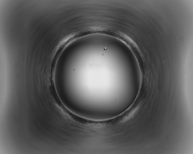 X0000085020930200703121539