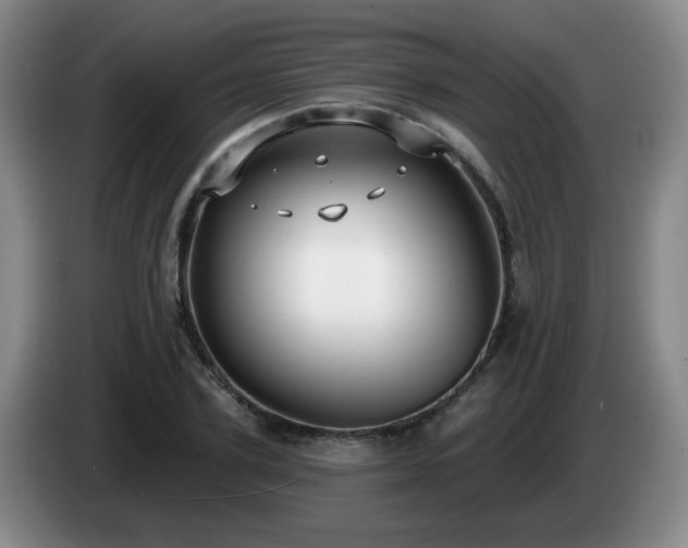 X0000085020931200703121539