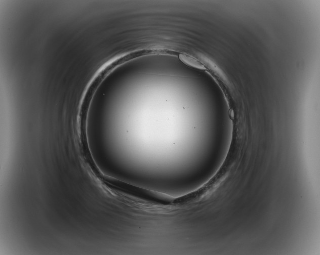 X0000085020932200703121539