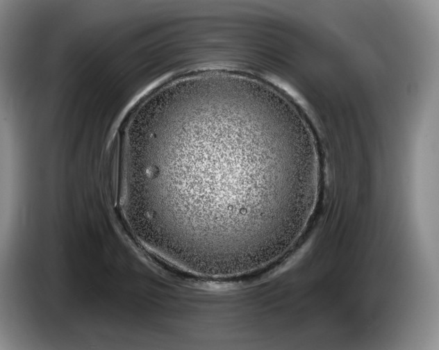 X0000085020933200703121539