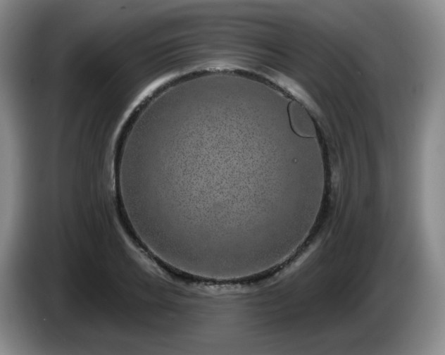 X0000085020934200703121539