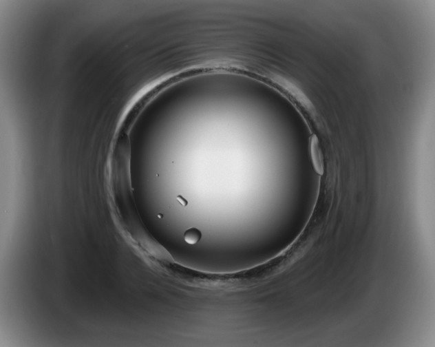 X0000085020936200703121539