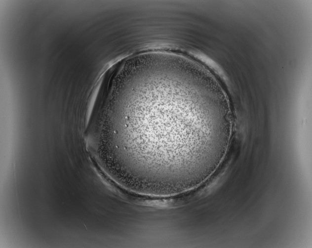 X0000085020937200703121539