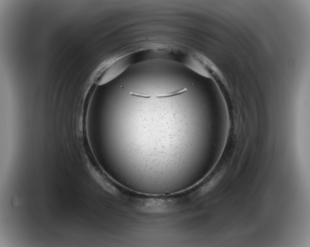 X0000085020938200703121539