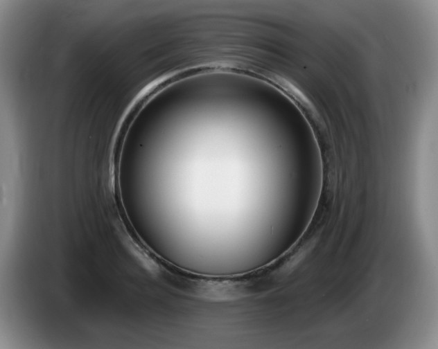 X0000085020940200703121539