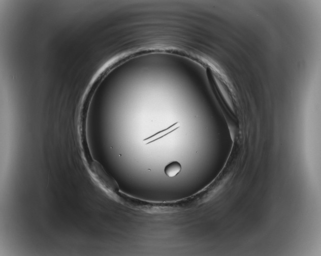 X0000085020942200703121539