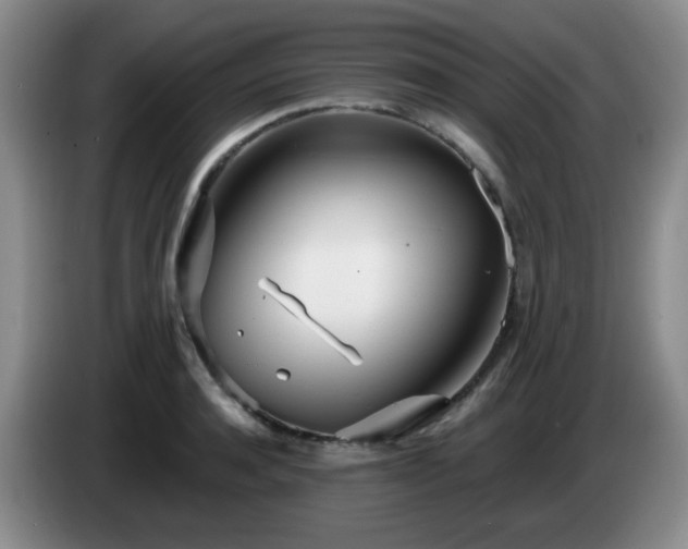 X0000085020944200703121539