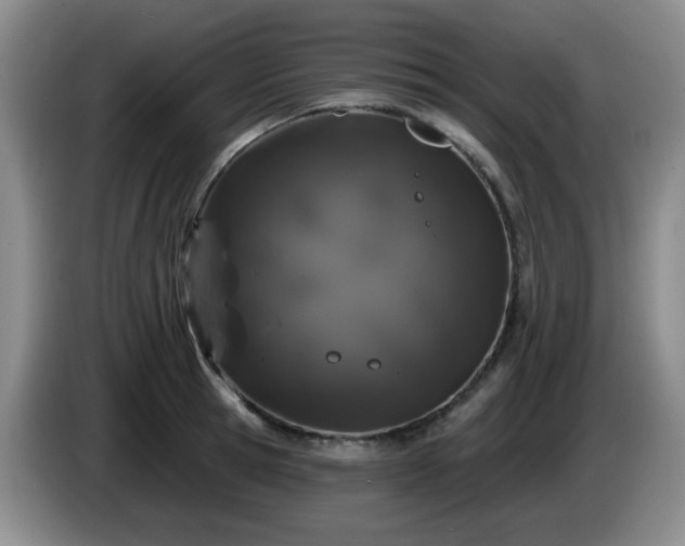 X0000085020945200703121539