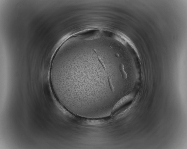X0000085020946200703121539