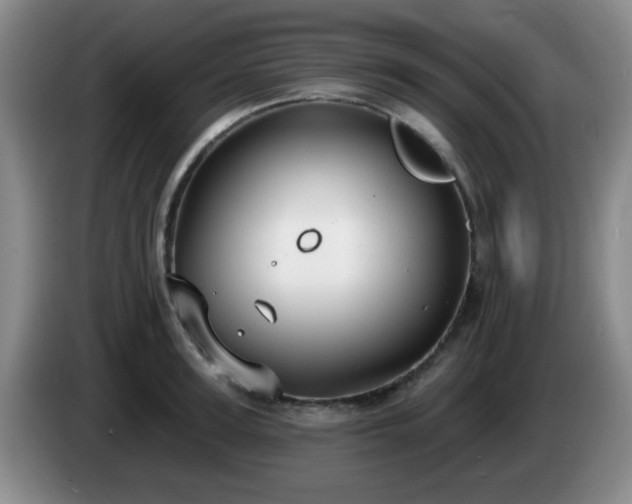 X0000085020947200703121539