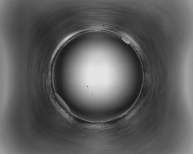X0000085020948200703121539