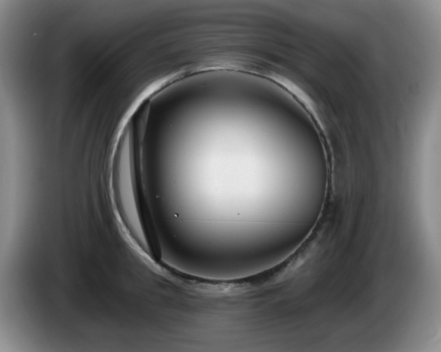 X0000085020949200703121539