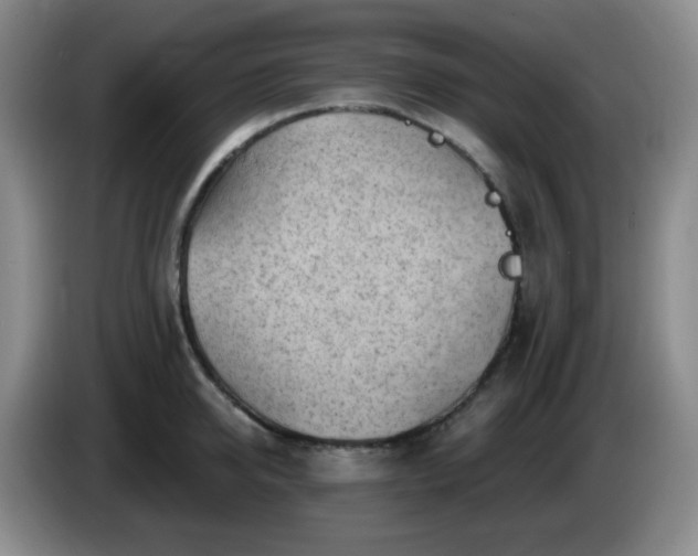 X0000085020950200703121540