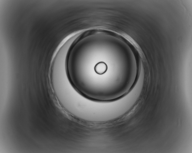 X0000085020956200703121540