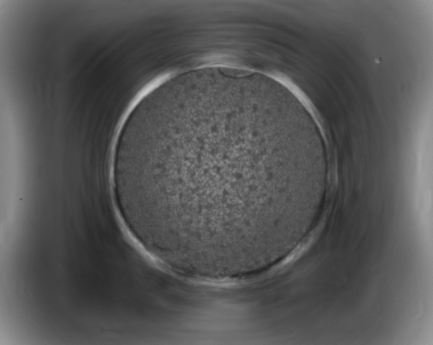X0000085020957200703121540