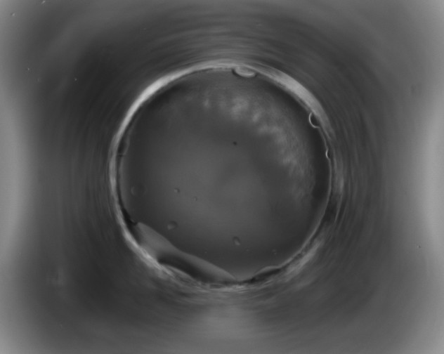 X0000085020958200703121540