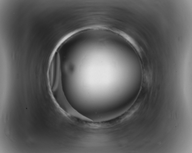 X0000085020959200703121540