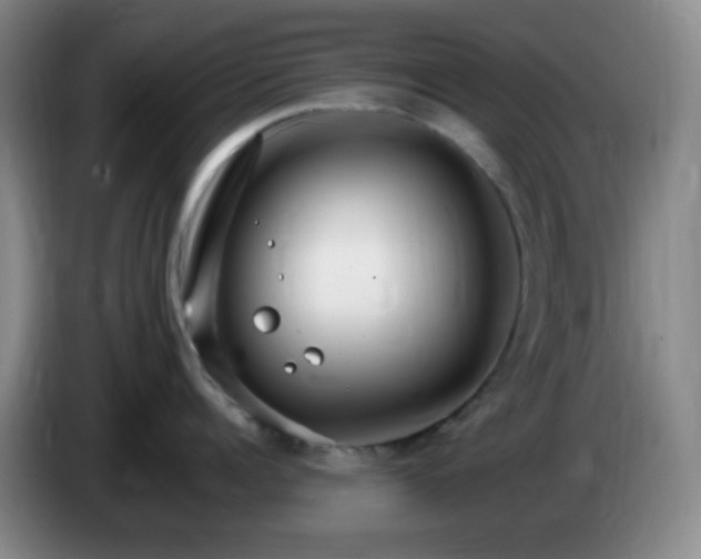 X0000085020960200703121540