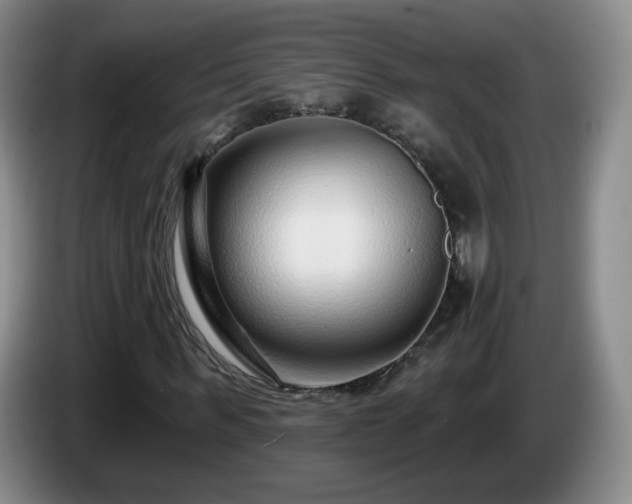 X0000085020963200703121539