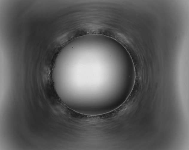 X0000085020964200703121539