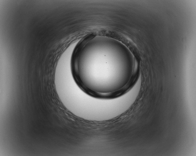X0000085020965200703121539