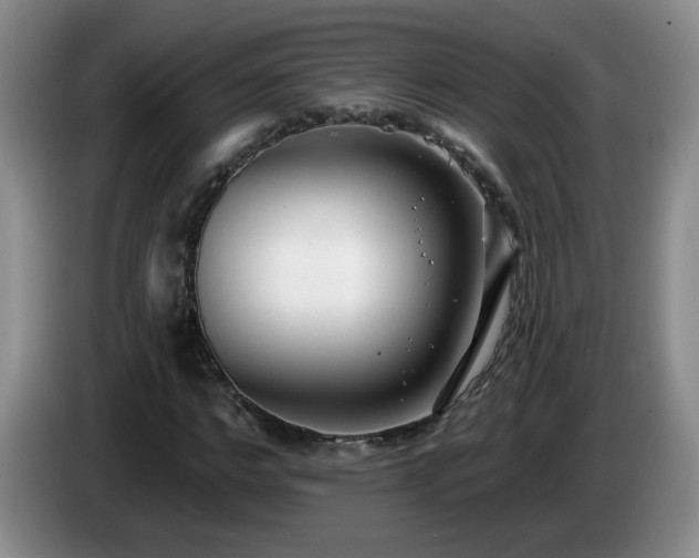 X0000085020968200703121539