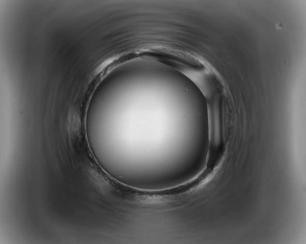 X0000085020969200703121539