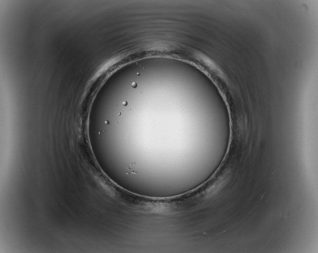X0000085020970200703121539