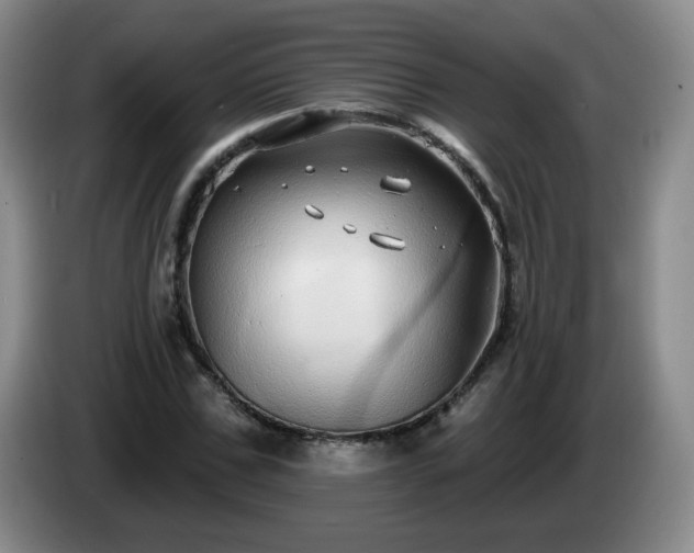 X0000085020971200703121539